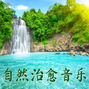 情绪和身体的愈合