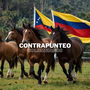 EL POLLO DE MOROTURO Y EL PAPELÓN DEL CHAPARRO EN PARIAGUÁN CONTRAPUNTEANDO CON BANDOLA (En vivo)