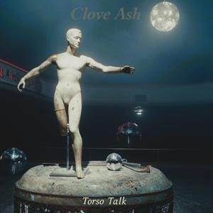 Torso Talk