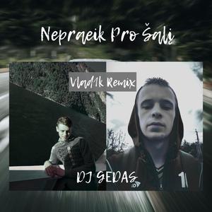 Nepraeik Pro Šalį (Vlad1k Remix)