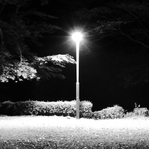 Bus Stop Evening