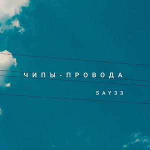 чипы-провода