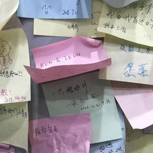 第三人称(片段）