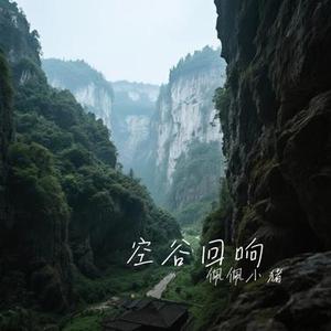 空谷回响