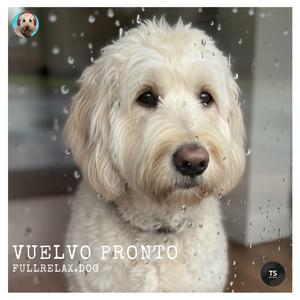 Vuelvo pronto