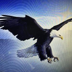 草原母亲我最亲爱的阿妈