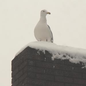 This Track Aged Enough