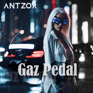 Gaz Pedal