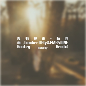 没有理由-杨胖雨,（HardFly / MARSJONE remix）