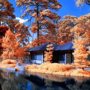 还记得小时候吗