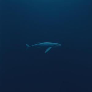 52Hz Whale