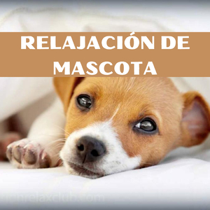 AYUDAS DEL SUEÑO