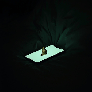 凌晨三点的未读消息