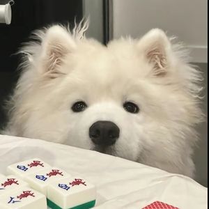 指纹（翻唱版）