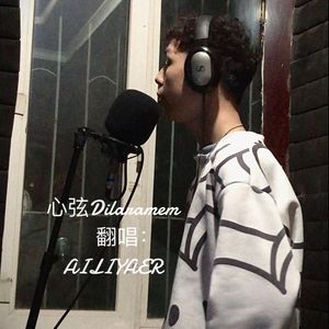 心弦Dilaramim
