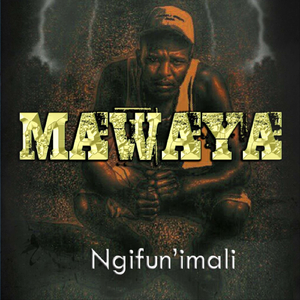 Don't Stop The Party