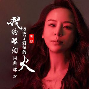 我的眼泪浇灭了爱情的火