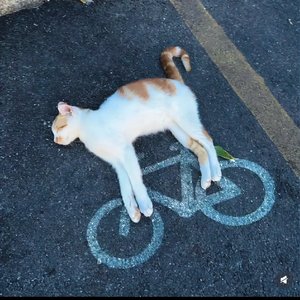 How long must I wait