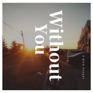 Without You (3 Brid People Bootleg)