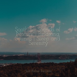 Joyful Harmonies Under Sunshine