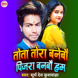 Tota Tora Banebau pijara Bnbau ham