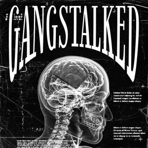 GANGSTALKED