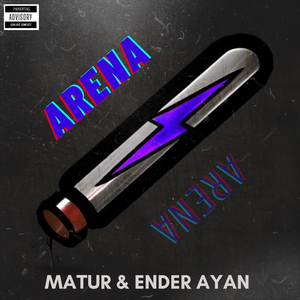 Arena