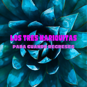 Para Cuando Regreses