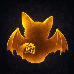 박쥐는 나쁘지 않았다.