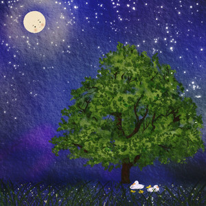 별빛 테라스 (풀벌레소리)