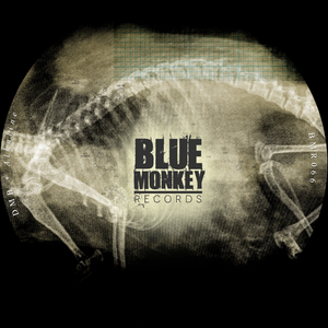 Alkaline (Original Mix)