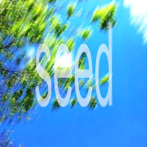 seed