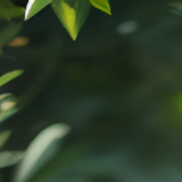 陈子渝11441-整曲