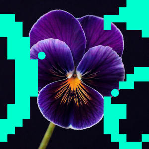 A Conscious Distortion