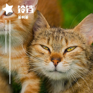 Daryl Silvius-铃铛（董啊董 remix）