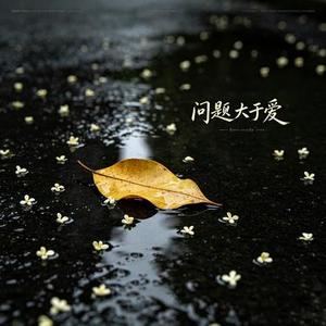 问题大于爱 (Cover 李雪萌)