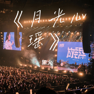 《月光心瑶》