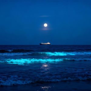 哥们，你辛苦了！