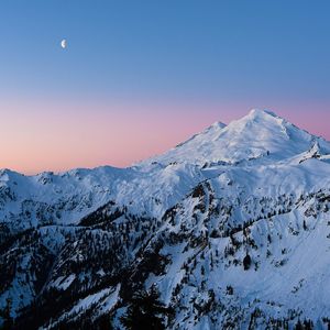 间距（翻唱版）