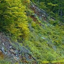 奋斗乃万物之父 (8)