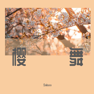 樱舞
