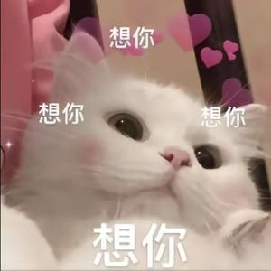 好不喜欢（女生温柔版）