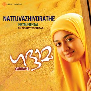 Nattuvazhiyorathe (Instrumental)