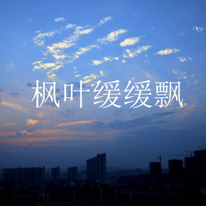 枫叶缓缓飘