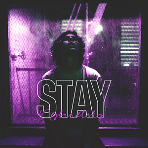 STAY (Remix)