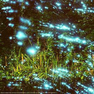 Cielo (feat. Emmanuel Fernandez)