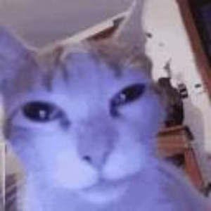 Tarko