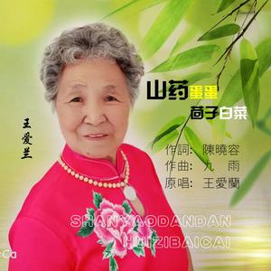 山药蛋蛋回子白菜