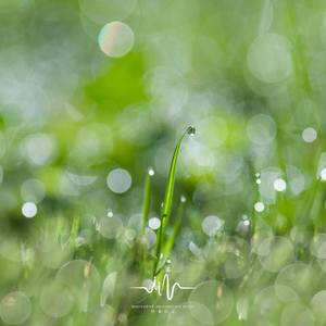 皎洁的月光 (钢琴催眠曲)