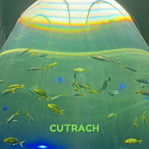 เจ้าความรัก